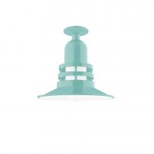 Montclair Light Works FMB148-48 - Atomic 12" Flush Mount Light in Sea Green