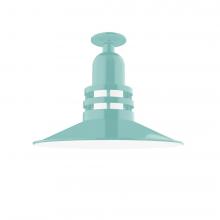 Montclair Light Works FMB149-48 - Atomic 16" Flush Mount Light in Sea Green