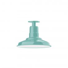 Montclair Light Works FMB182-48-L12 - 12" Warehouse shade, LED Flush Mount ceiling light, Sea Green