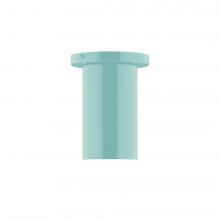 Montclair Light Works FMD425-48-L10 - 3.5" x 6" Axis Mini Cylinder LED Flush Mount, Sea Green