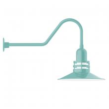 Montclair Light Works GNC149-48 - Atomic 16" gooseneck wall light