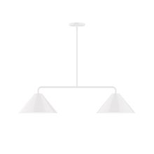 Montclair Light Works MSG422-44-L10 - 2-Light Axis Linear LED Pendant, White