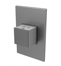 Legrand ARPTR201GM2 - adorne® 20A One-Gang Pop-Out Outlet, Magnesium