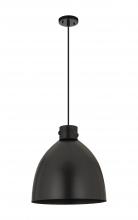 Innovations Lighting 410-1PL-BK-M412-16BK - Newton Sphere - 1 Light - 16 inch - Matte Black - Cord hung - Pendant