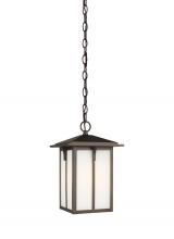 Generation Lighting 6252701EN3-71 - Tomek One Light Outdoor Pendant