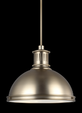 Generation Lighting 65087EN3-848 - Three Light Pendant