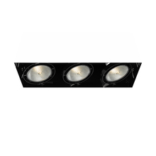 Eurofase TE223-01 - MuLT, Par30, Trimlss, 3LT , 75w, Blk