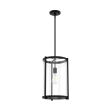 Hunter 19123 - Hunter Astwood Matte Black with Clear Glass 1 Light Pendant Ceiling Light Fixture