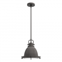 Hunter 19106 - Hunter Bridgemoor Noble Bronze with Clear Holophane Glass 1 Light Pendant Ceiling Light Fixture