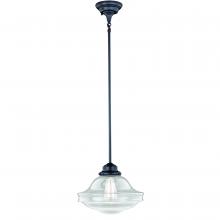 Vaxcel International P0242 - Huntley 12-in Pendant Clear Glass Oil Rubbed Bronze