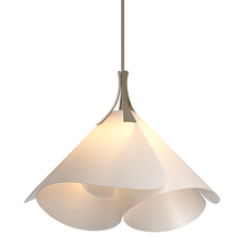 Hubbardton Forge 134503-SKT-MULT-84-SH1990 - Mobius Large Pendant