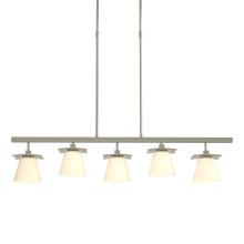 Hubbardton Forge 136605-SKT-STND-85-GG0242 - Wren 5 Light Pendant