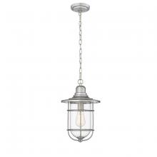 Millennium 2932-GA - 1-Light Outdoor Hanging Lantern Galvanized