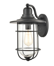 Millennium 2921-PBK - Outdoor Wall Sconce