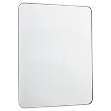  12-3040-61 - 30x40 Stadium Mirror - SLV