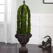 PRESERVED BOXWOOD